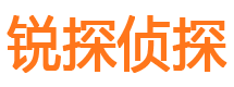 铁门关市私家侦探